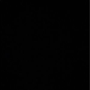 Meet your Posher, Harrison